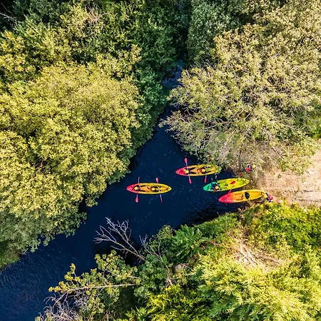 بيت خشبي Wildlands Galway *